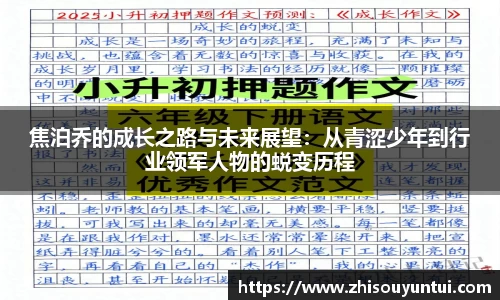 百乐博blb焦泊乔的成长之路与未来展望：从青涩少年到行业领军人物的蜕变历程